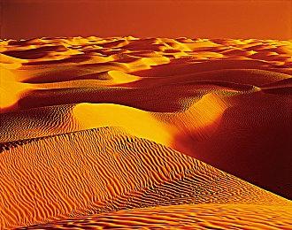 《圣剑传说：玛那视界》制作人小泽健司成立新工作室