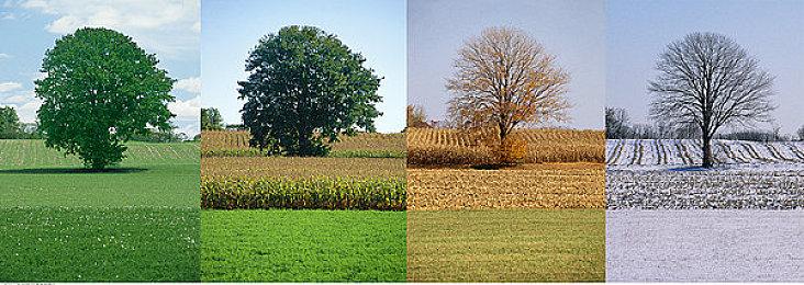 V社推出新榜单：最热门Steam Deck游戏排行